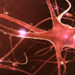 Kolektivni koeficijent inteligencije opada