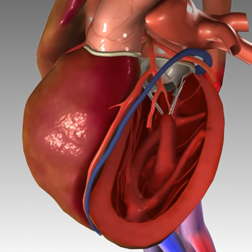 Koronavirus oštećuje srce
