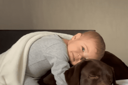 Srbija i porodica Da li je biti roditelj novo zanimanje muškaraca - priče tri generacije očeva 2