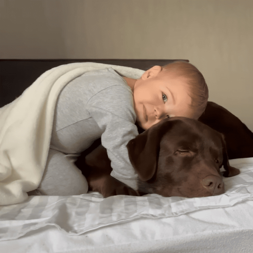 Srbija i porodica Da li je biti roditelj novo zanimanje muškaraca - priče tri generacije očeva 2