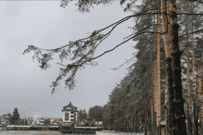 Ima li izgleda za pad cena nekrenina