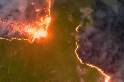 Meteorolozi i klimatolozi upozoravaju Leto 2023. treba da služi kao upozorenje