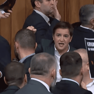 Kakva je budućnost srpske demokratije posle tuče u parlamentu Srbije 4
