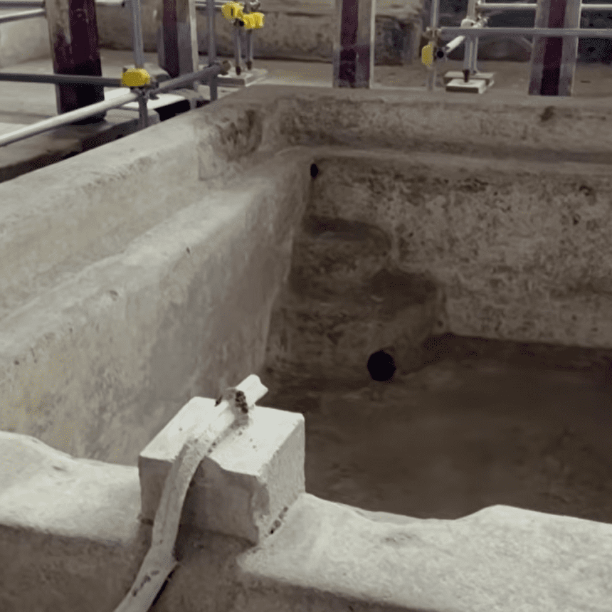 Arheološko otkriće svedoči o luksuzu Pompeje