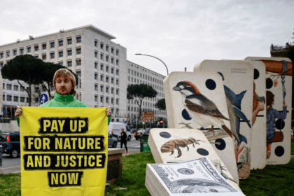 Grinpis pred bankrotom Odgovorni za štetu od 300 miliona dolara nanetu naftovodu