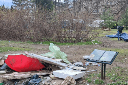 Pionirski park Udruženje pejzažnih arhitekata o uništenju