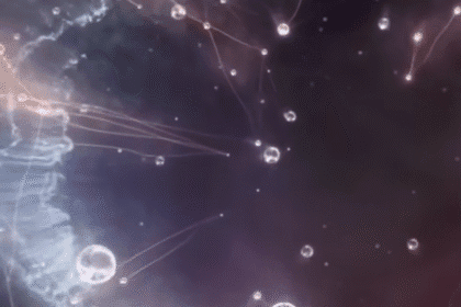 Startapi u Srbiji – malo prihoda, malo profita, malo investicija, ali entuzijazam ne manjka