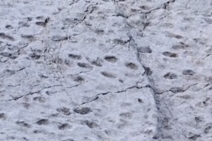 Alpska planina kao vremeplov otkriveno ogromno igralište dinosaurusa u Italiji