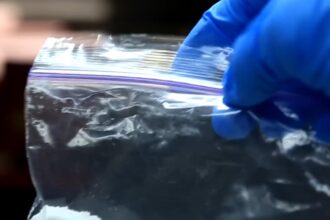 Globalni rast upotrebe kokaina