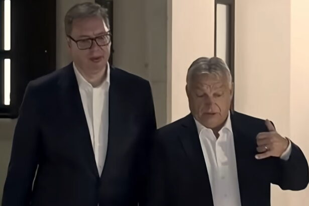 Savezništvo Viktora Orbana i Aleksandra Vučića