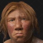 Seksualne veze između Neandertalaca i Homo sapiensa