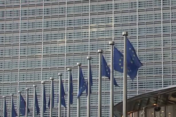 Venecijanska komisija o Mrdićevim zakonima