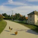 Između uglja i obećanja selo koje nestaje i država koja okleva