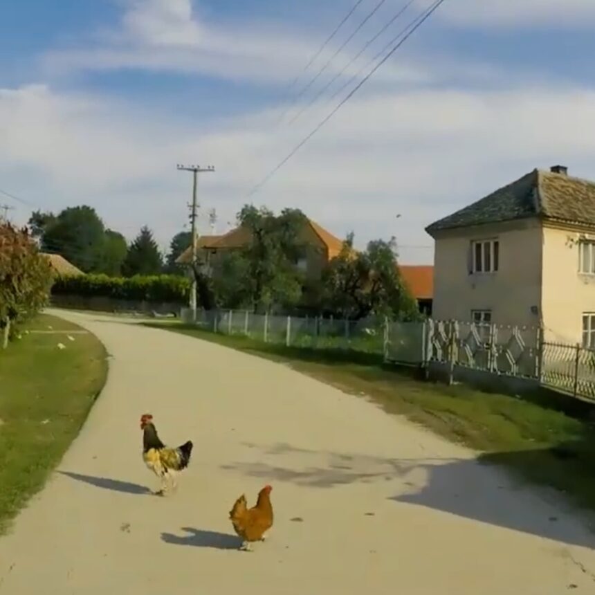 Između uglja i obećanja selo koje nestaje i država koja okleva