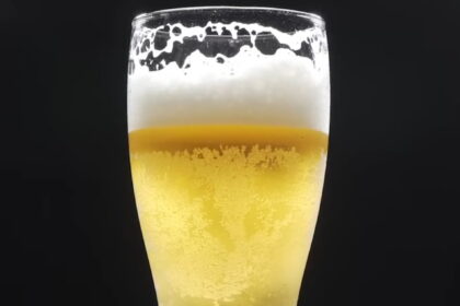 Pivopije kažu da pivo izbacuje kamen iz bubrega. Da li je zaista tako