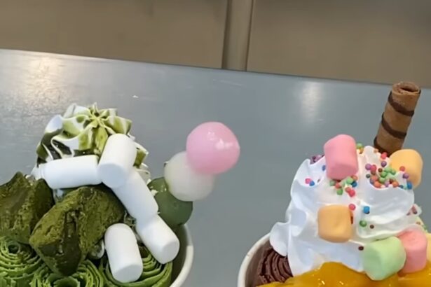 Japanske vlasti istražuju navodni kartel proizvođača sladoleda